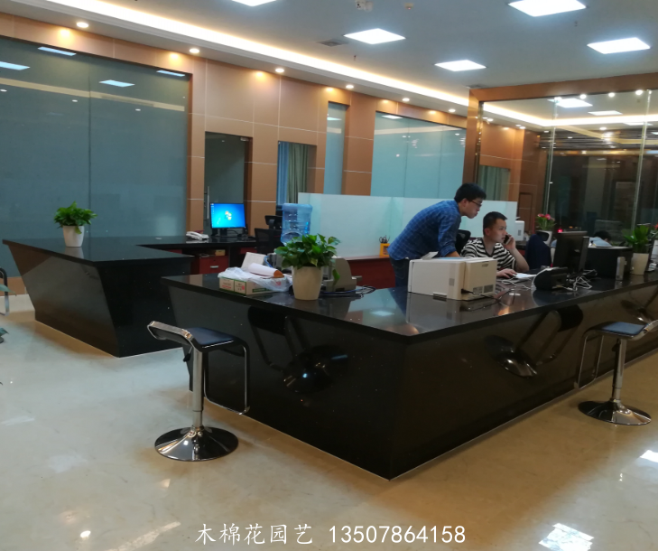 祥海集团植物租摆案例