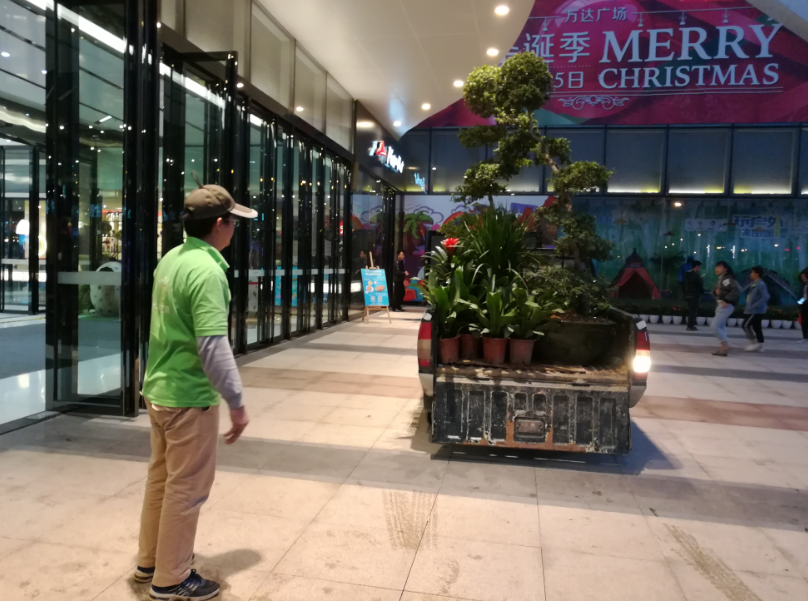 万达植物租摆案例