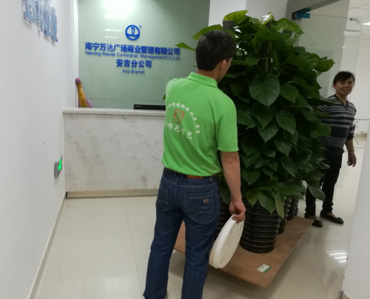 万达植物租摆案例1