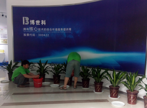  绿植租摆案例