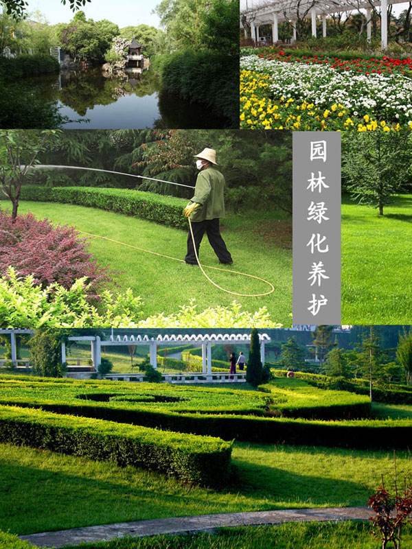  园林绿化及养护 